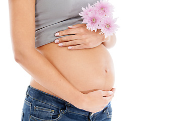 Image showing Pregnant, flower and woman in studio for wellness, health and organic skincare on white background. Daisy, pregnancy and pregnant woman hand on belly for care, beauty and product in nature on mockup