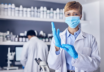 Image showing Covid, portrait or senior scientist in a laboratory working on biotechnology for medical healthcare innovation. Coronavirus, black woman or doctor in face mask or gloves helping with science research