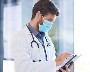 Image showing Digital tablet, face mask and doctor doing research on covid, healthcare or pandemic in a hospital. Professional, technology and medical worker analyzing results on a mobile device in medicare clinic