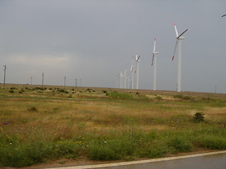 Image showing Field of Windmills 2