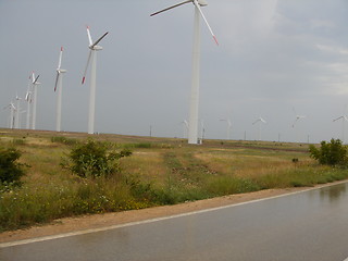 Image showing Field of Windmills