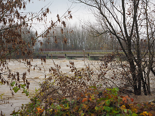 Image showing River Po flood in Turin