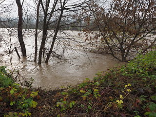 Image showing River Po flood in Turin