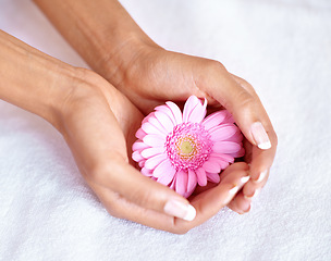 Image showing Beauty, flower and spa with hands of woman for skincare, wellness and natural cosmetics. Spring, peace and floral with girl holding fresh daisy in salon for treatment, blossom and self care