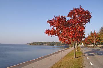 Image showing Autumn view