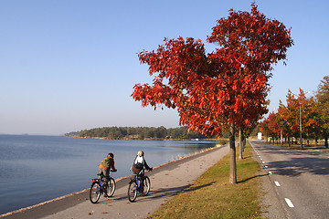 Image showing Kids on bikes