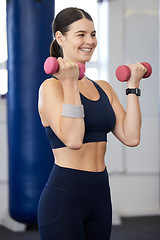 Image showing Fitness, dumbbell weights and woman doing an exercise for arm strength, health and wellness in the gym. Sports, healthy and happy female athlete doing a muscle workout or training in a sport center.