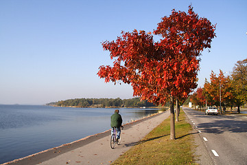 Image showing Man on bike