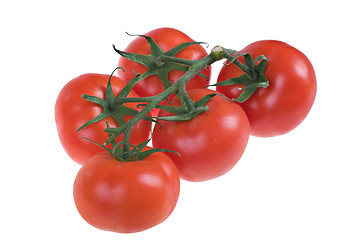 Image showing fresh juicy tomatoes