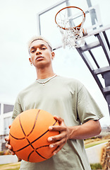 Image showing Sports, basketball court and a portrait of man with ball outside at park. Exercise, motivation and workout for fitness, wellness and health. Street game, outdoor basketball training and serious face.