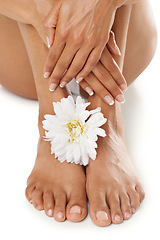 Image showing Hands, feet and nails with woman in beauty zoom, flower and spa treatment, manicure and pedicure cosmetic care. Natural cosmetics with organic skincare, nature and wellness with healthy skin glow