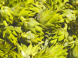 Image showing artichokes