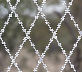 Image showing Restricted Area Barbed Fence, security concept