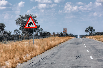 Image showing Elephant crossing with sign on the road in Namibia