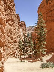 Image showing Bryce Canyon National Park