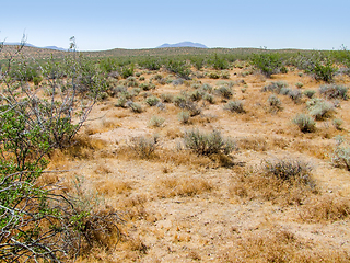 Image showing Death Valley National Park