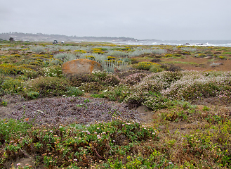 Image showing idyllic coastal scenery in California