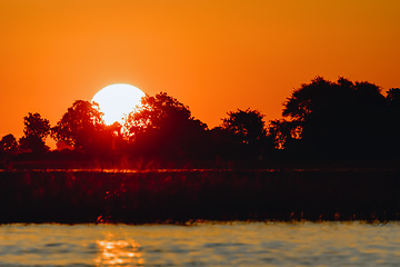 Image showing sunset on Chobe river, Botswana Africa