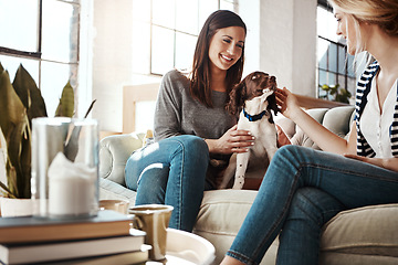 Image showing Women, friends and relax with dog on sofa in living room for calm, peace and quality time with pet. Puppy, lifestyle happiness and animal care in home with female owners for love or support on couch