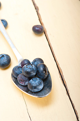 Image showing fresh blueberry on silver spoon