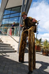 Image showing The leopardman moving in.