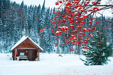 Image showing Winter holiday house in forest.