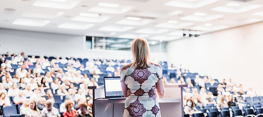 Image showing Public speaker giving talk at Business Event.