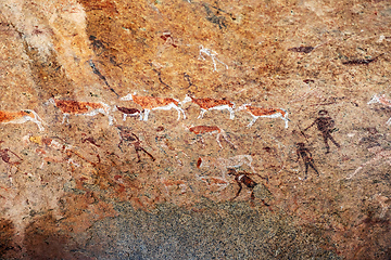 Image showing White lady wall paintings in Brandberg,Namibia