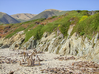 Image showing idyllic coastal scenery in California