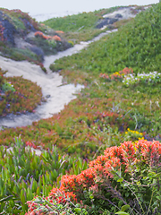 Image showing idyllic coastal scenery in California