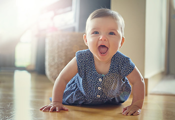 Image showing Baby on floor, happy in portrait with development and growth, early childhood and happiness at family home. Girl kid, young and learning with crawling and child care in living room with health