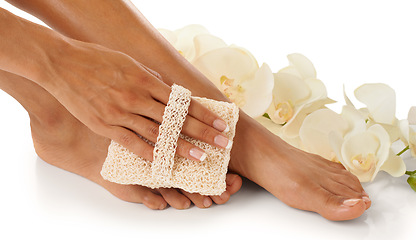 Image showing Feet, beauty spa and pedicure with a foot scrub for a woman in studio with flowers for luxury skincare. Toes and hands of wellness model for self care, cleaning and dermatology cosmetics in studio