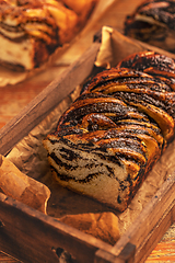 Image showing Homemade poppy seeds babka