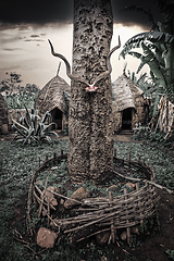 Image showing elephant-shaped huts in Dorze Village, Ethiopia