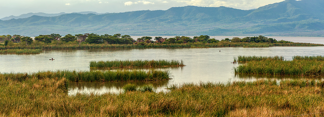 Image showing Lake Chamo landscape, Ethiopia Africa