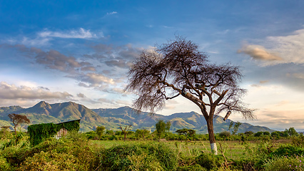 Image showing ethiopian landscape near Arba Minch, Ethiopia