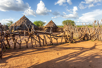 Image showing Hamar Village, South Ethiopia, Africa