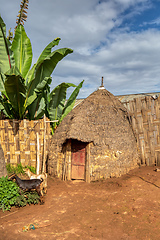 Image showing elephant-shaped huts in Dorze Village, Ethiopia