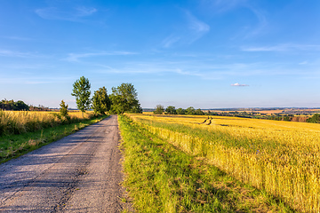 Image showing Summer landscape Vysocina Czech Republic