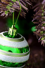 Image showing Christmas ornaments on tree.