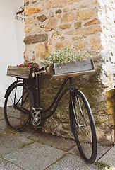 Image showing Retro style bicycle with flowers