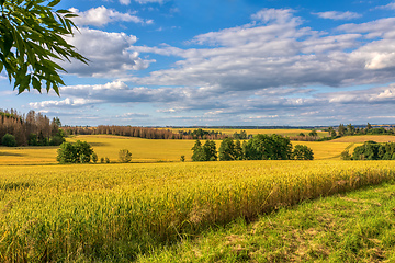 Image showing Summer landscape Vysocina Czech Republic