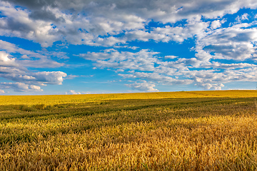 Image showing Summer landscape Vysocina Czech Republic