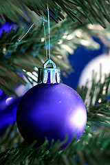 Image showing Christmas ornaments on tree.