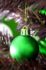 Image showing Christmas ornaments on tree.