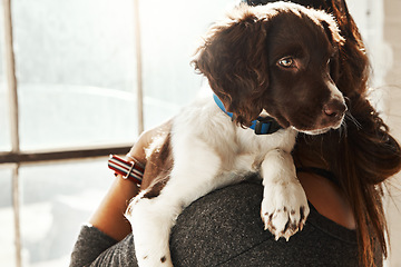 Image showing Dog, window and woman hug pet in home, bonding and caring. Love, dogs and female hugging, cuddle or embrace with domestic animal with affection, support and enjoying quality time together in house.