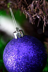 Image showing Christmas ornaments on tree.