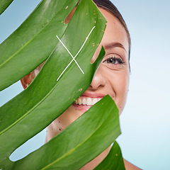 Image showing Portrait, skincare and palm leaf with a model woman posing in studio on blue background for beauty. Face, skin or nature with an attractive young female standing behind a plant for natural treatment