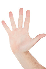 Image showing Closeup hand, palm and high five by white background with sign language, communication and stop warning. Isolated hand sign, wave and hello with fingers for friendly greeting, support or motivation