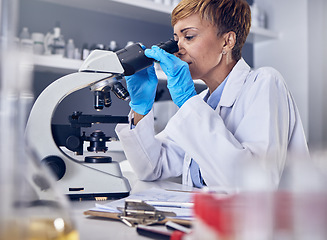 Image showing Science, laboratory and black woman with microscope, research for vaccine development. Healthcare, medical innovation and senior scientist woman in hospital lab looking at pharmaceutical test results